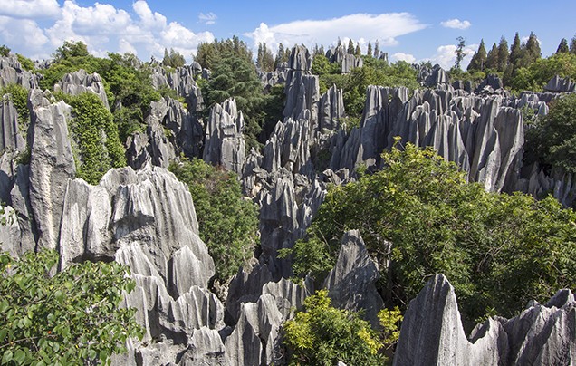 Day 10: Stone Forest