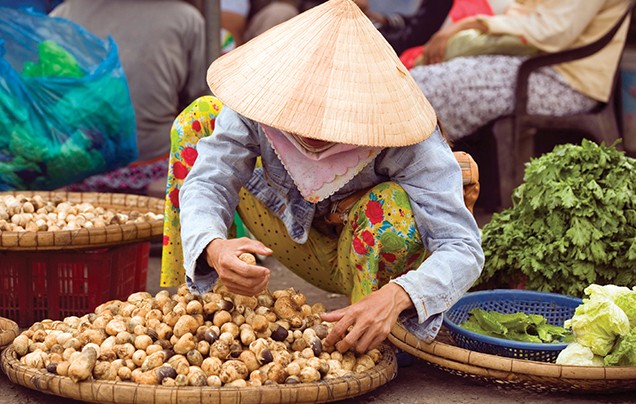 DAY 4: Journey to Hoi An