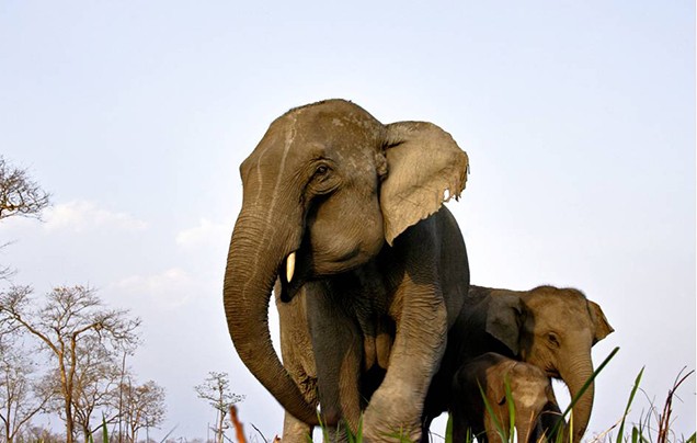 Day 10: Yala National Park