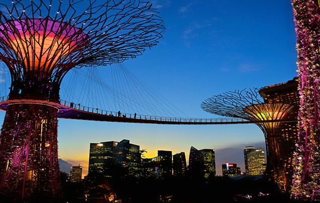 DAY 3: GARDENS BY THE BAY