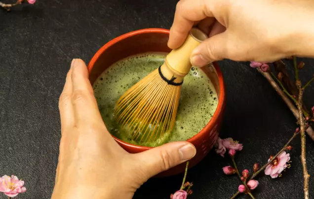 DAY 10: Kyoto Culture & Koyasan