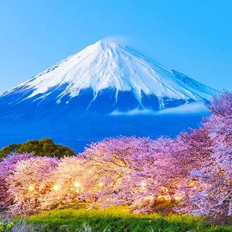Mt Fuji