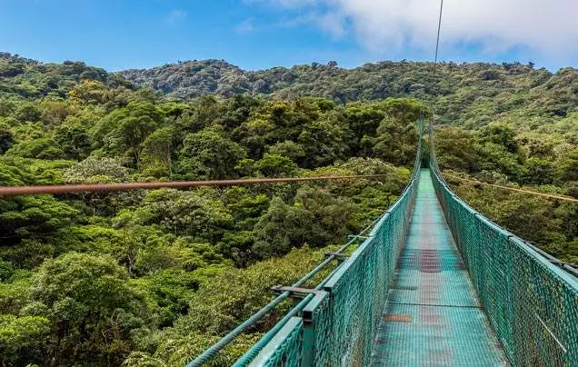 DAY 9: MONTEVERDE CLOUD FOREST RESERVE