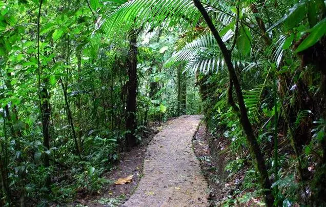 DAY 8: TRAVEL TO MONTEVERDE