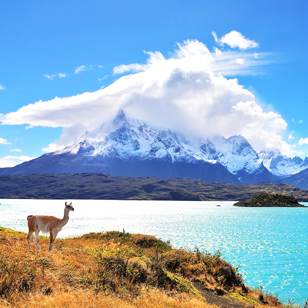 TORRES DEL PAINE