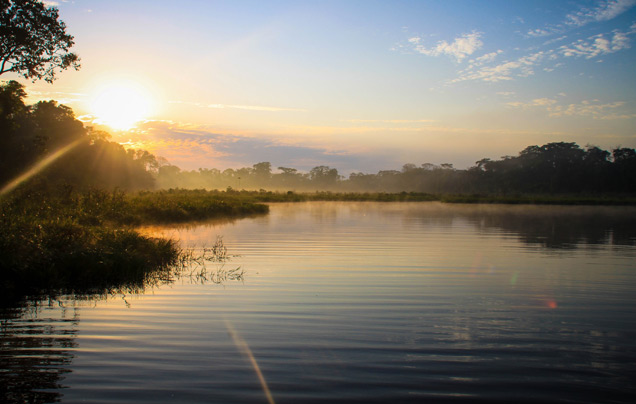 DAY 1: ARRIVE PUERTO MALDONADO