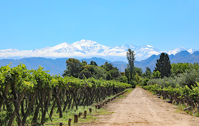DAY 17: Across the Andes