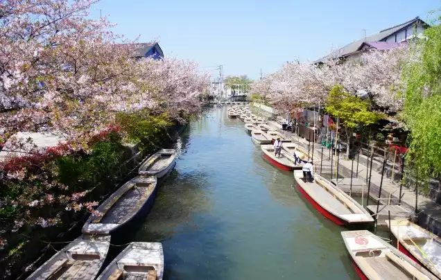 DAY 3: Explore Fukuoka