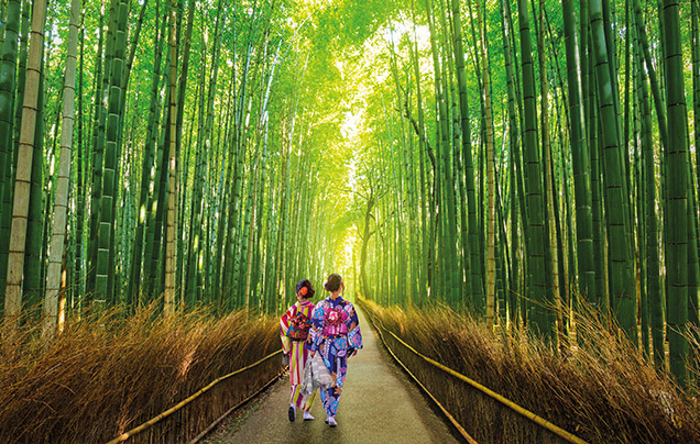 DAY 4: Arashiyama Bamboo Forest
