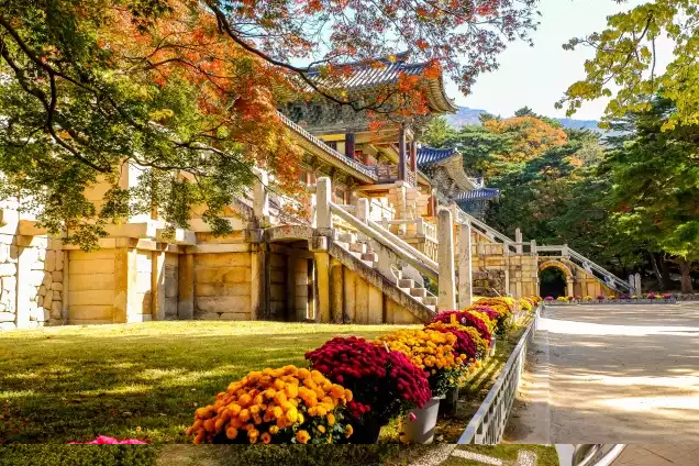 Day 8: Explore Gyeongju