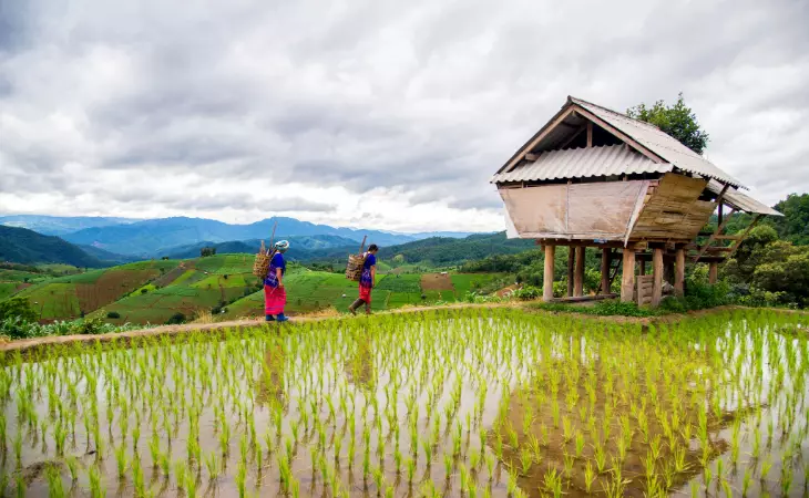 Spend the Night in a Jungle Lodge 