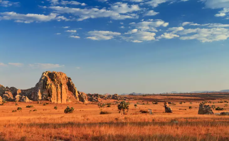 Nature’s Apothecary