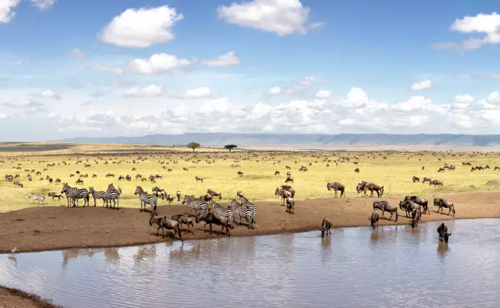Safaris in Maasai Mara & Serengeti