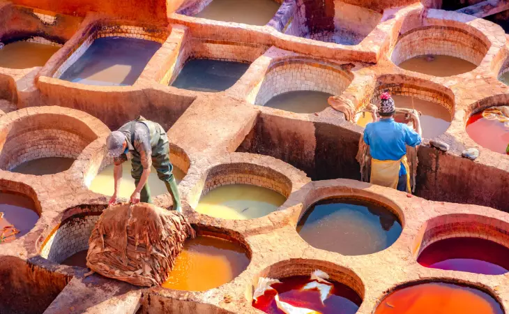 Experience Fez's famous tanneries