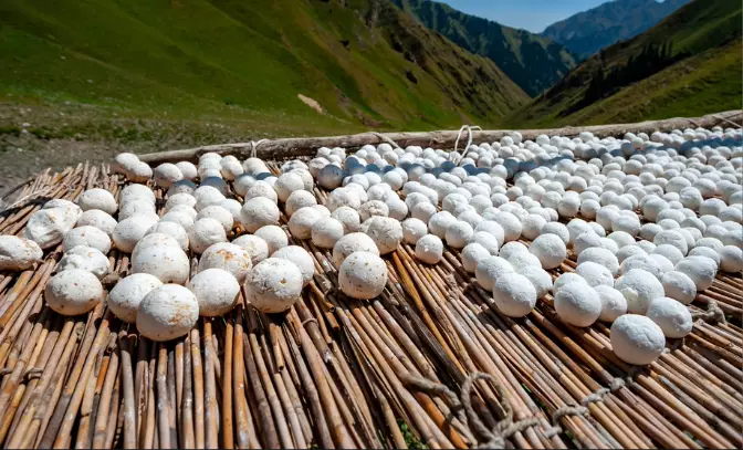 Try kurut, the region's iconic cheese