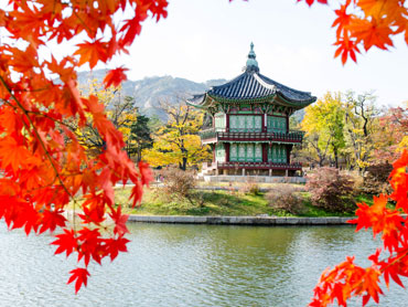 South Korea reopens borders