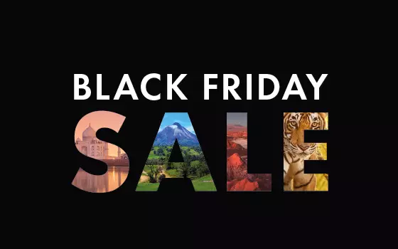 Black Friday is Back