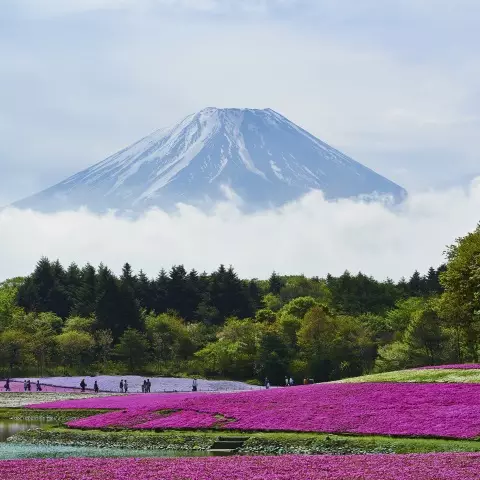 Mount Fuji