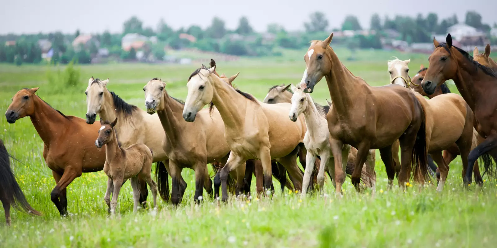 Journey through Central Asia
