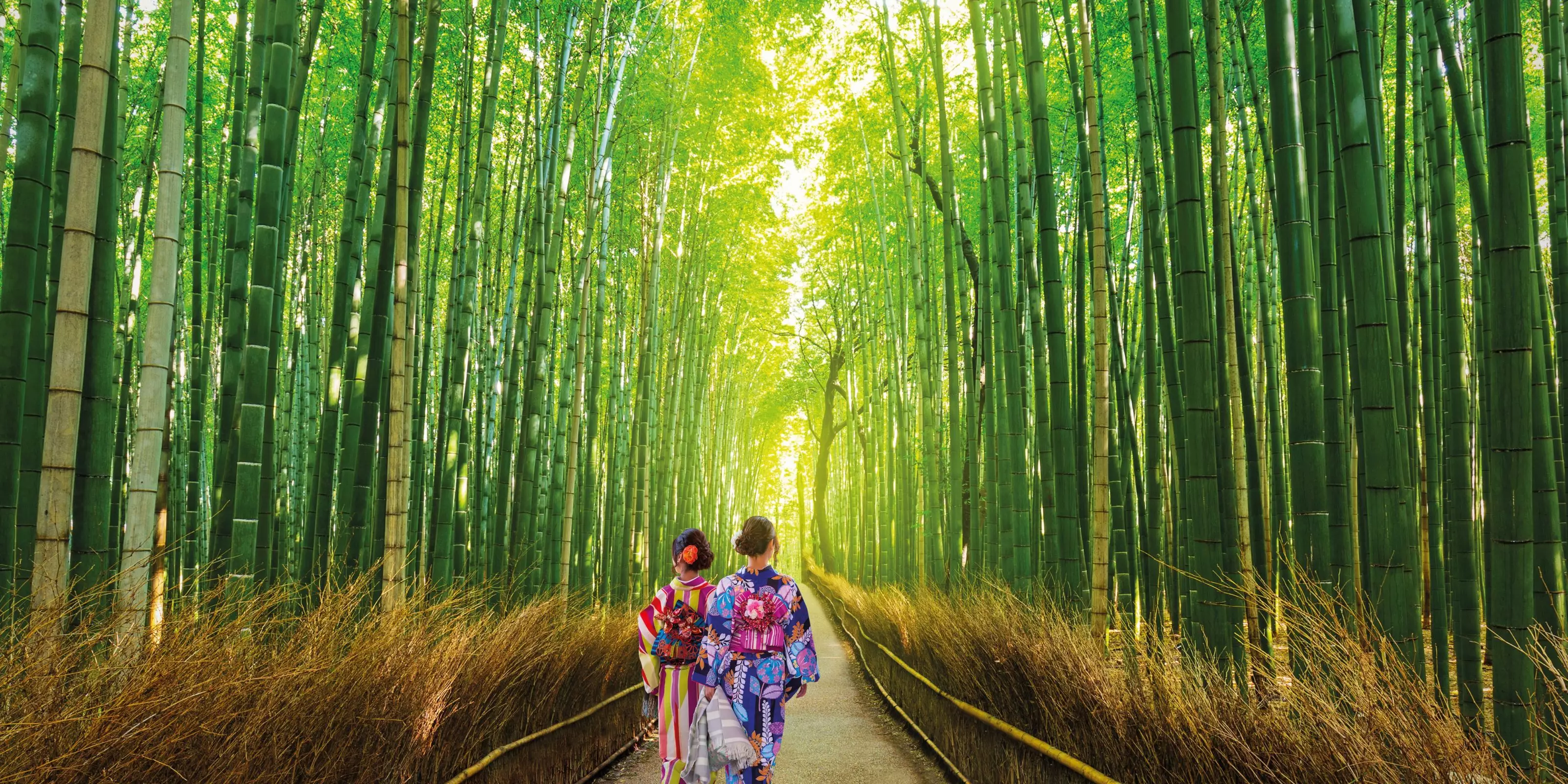 Wendy Wu Tours Brochures