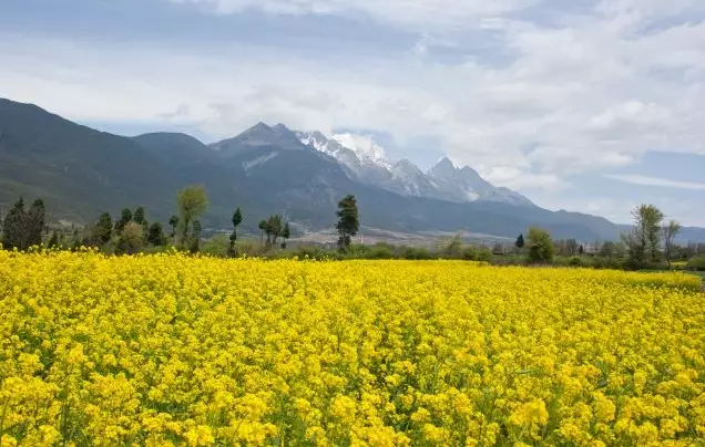 Day 9: Bullet Train to Kunming