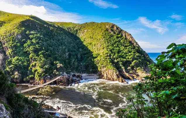 Day 8: Garden Route