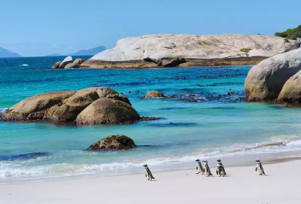 Day 12: Cape Peninsula