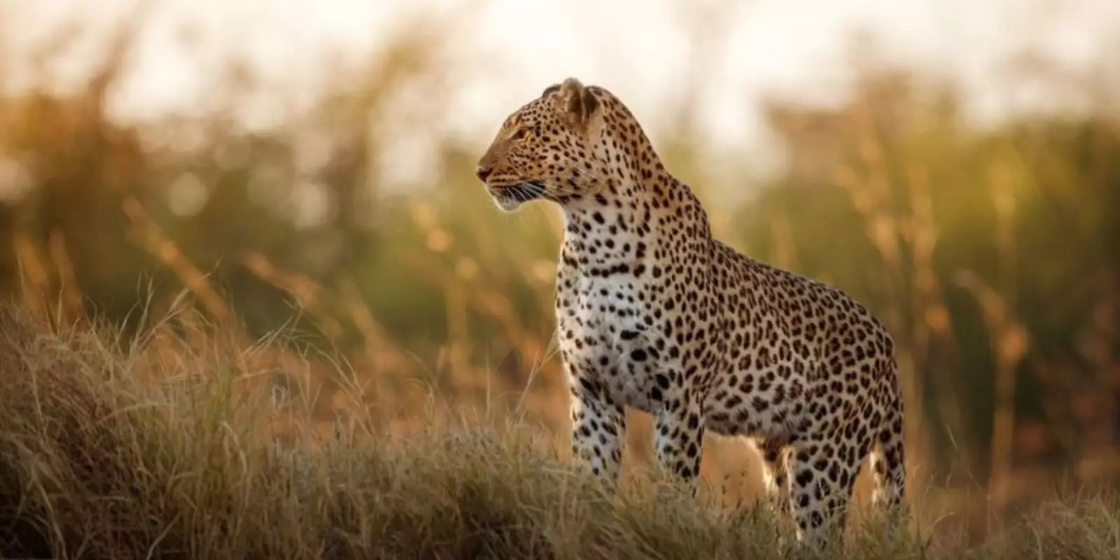 Christmas in South Africa