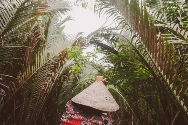 Day 12: Mangrove Experience