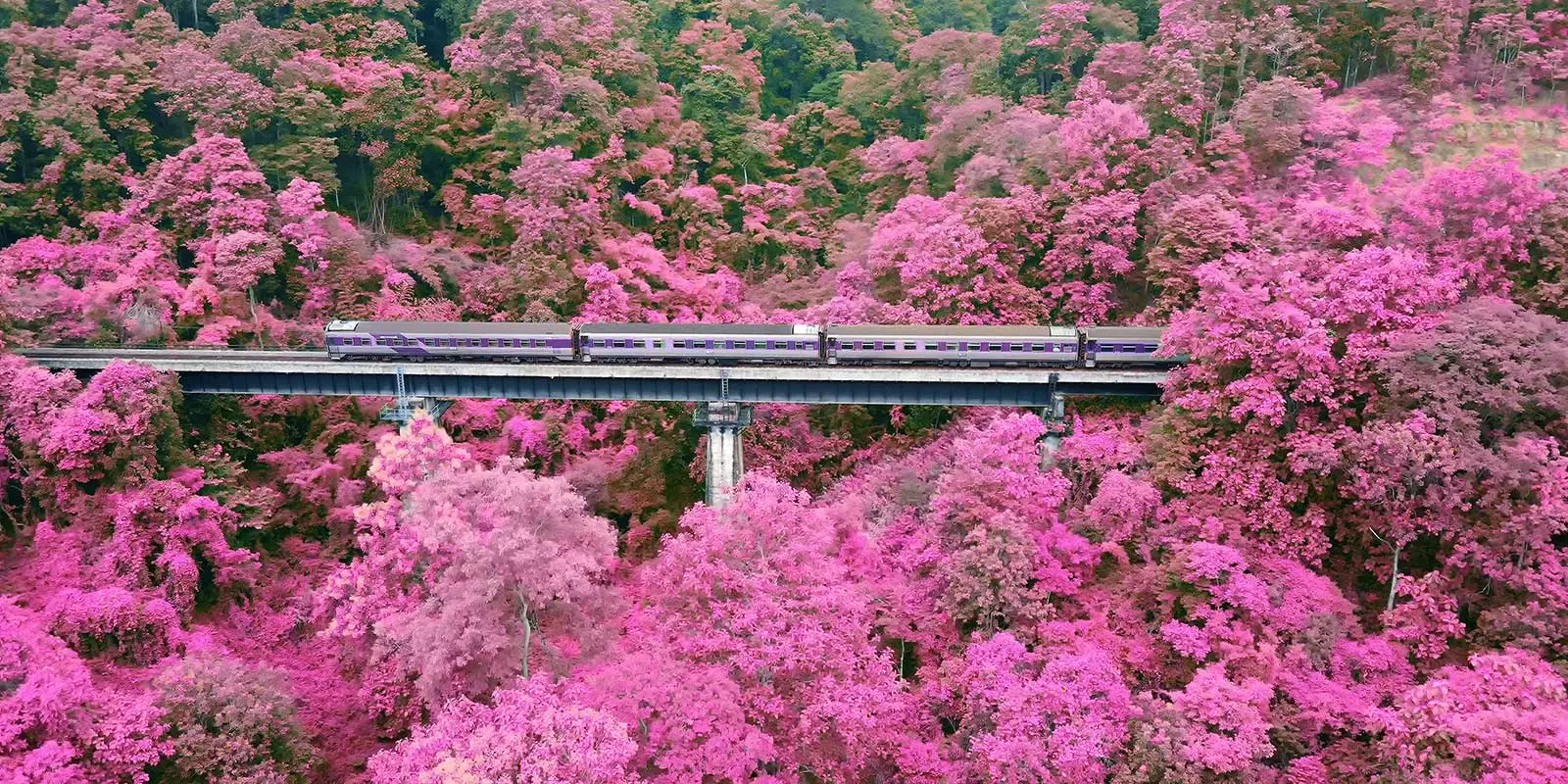 Rail Tour Destinations