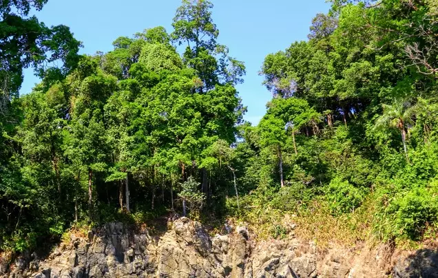 Day 1: Travel to Corcovado