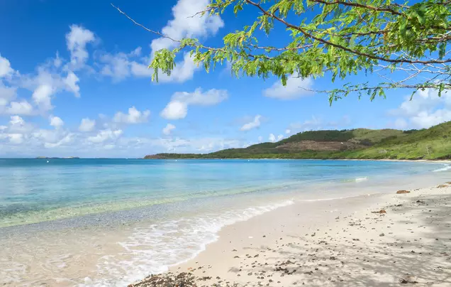 Day 2: Transfer to Tamarindo Beach