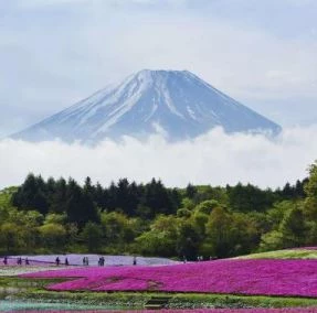 Day 5: Bullet train to Mt Fuji