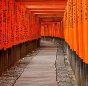 Day 3: Explore Kyoto