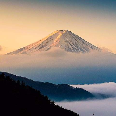 Mt. Fuji 