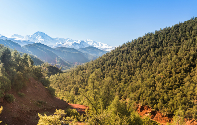 Day 14: Visit the Ourika Valley