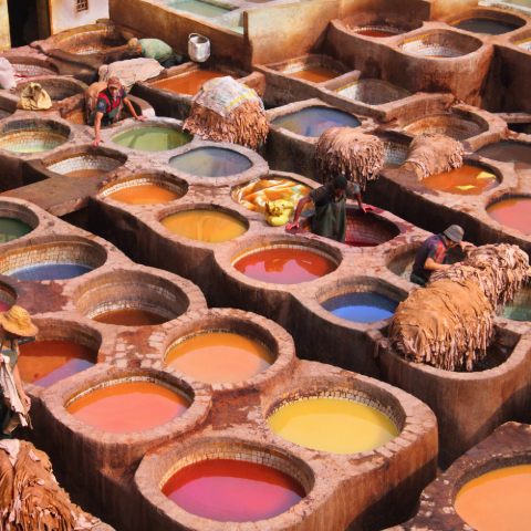 Chouara Tanneries in Fez