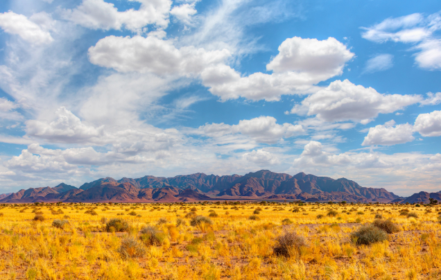 Day 7: Travel to Damaraland