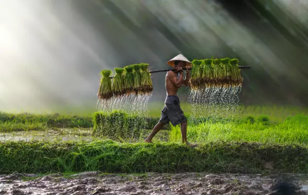 Day 9: Countryside Experience