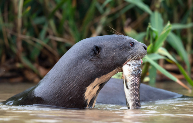 Day 11: Return to Quito