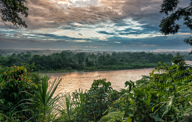 Day 9: Discover Napo