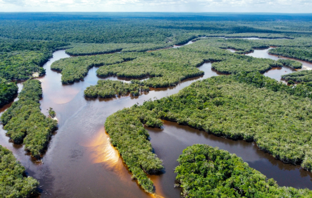 Day 3: Fly to the Amazon