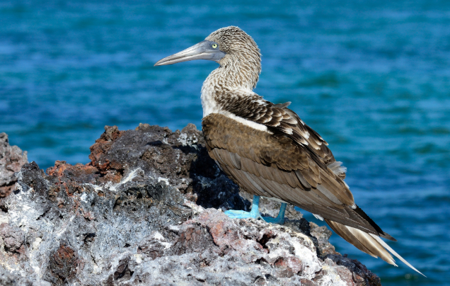 Day 4: Elizabeth Bay