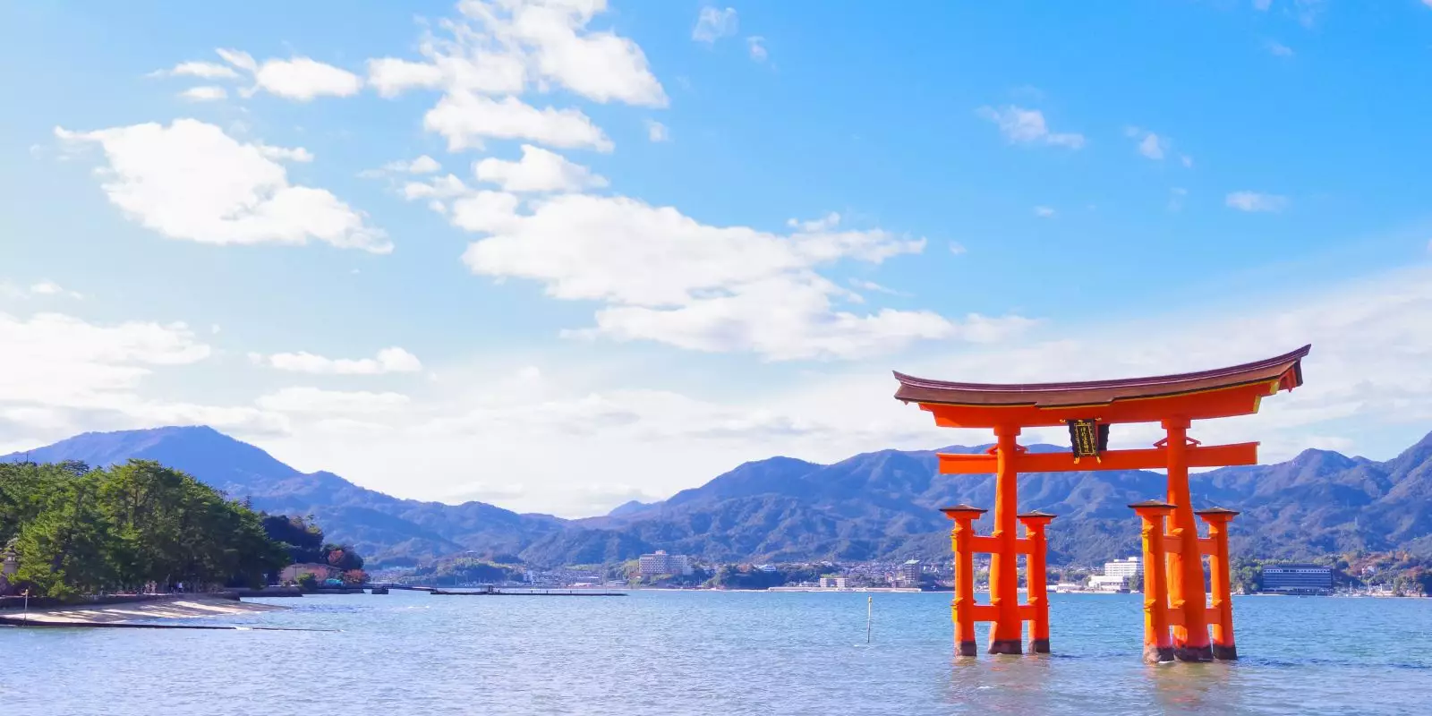 Fly Free or 50% Off Airfares