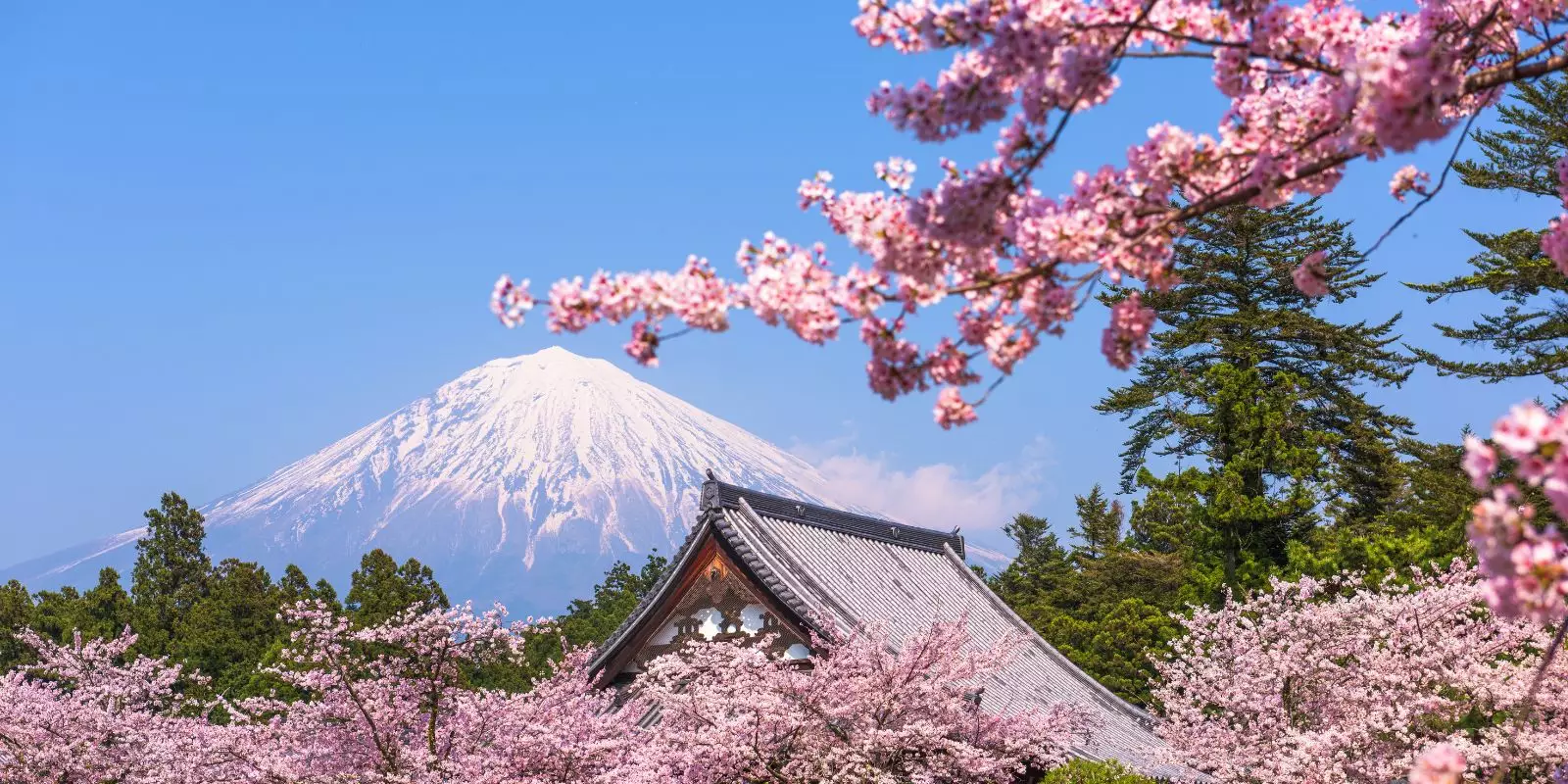 Wendy Wu Tours Events Hub