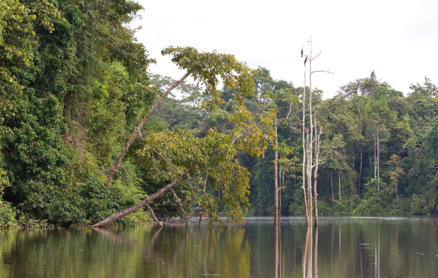 Day 7: Return to Kota Kinabalu