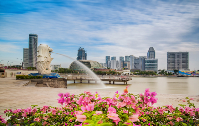 Day 9: Explore Singapore