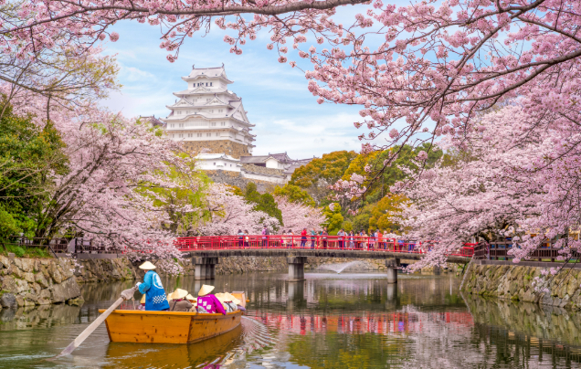 Day 13: Cruise - Explore Osaka/Kyoto
