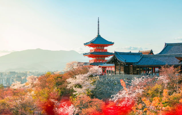 Days 12-13: Cruise - Explore Osaka (Kyoto)