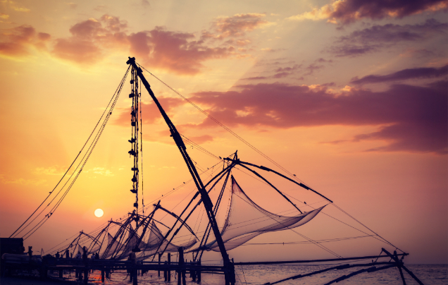 Day 15: Cruise – Kochi